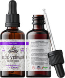 FLORIDA HERBS Blue Vervain Tincture bottle front view