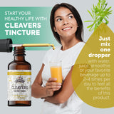 FLORIDA HERBS Cleavers Tincture 159g bottle with label