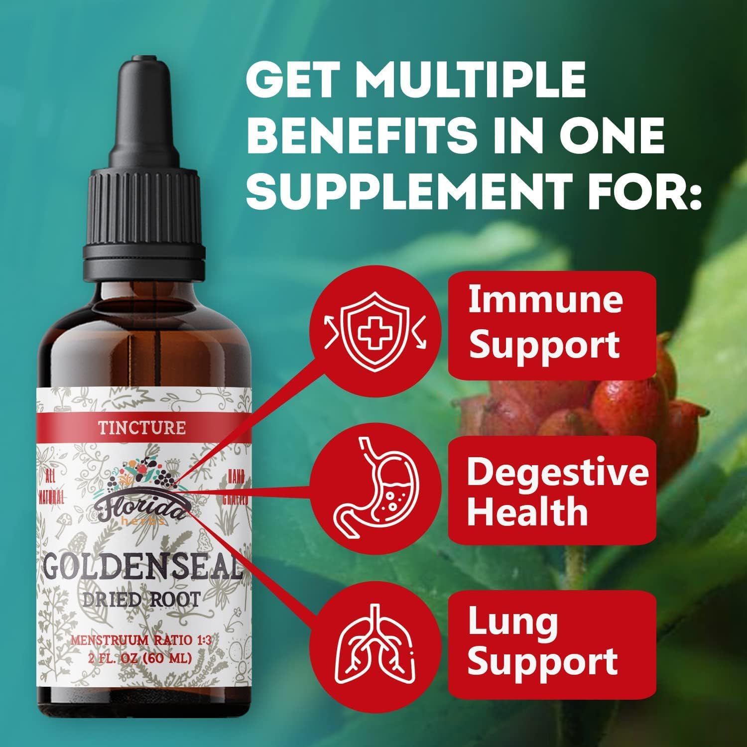 FLORIDA HERBS Goldenseal Root Tincture in lifestyle setting