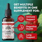 FLORIDA HERBS Goldenseal Root Tincture in lifestyle setting