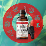 FLORIDA HERBS Goldenseal Root Tincture with organic ingredients