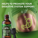 FLORIDA HERBS Mugwort Extract Liquid Drops close-up of dropper