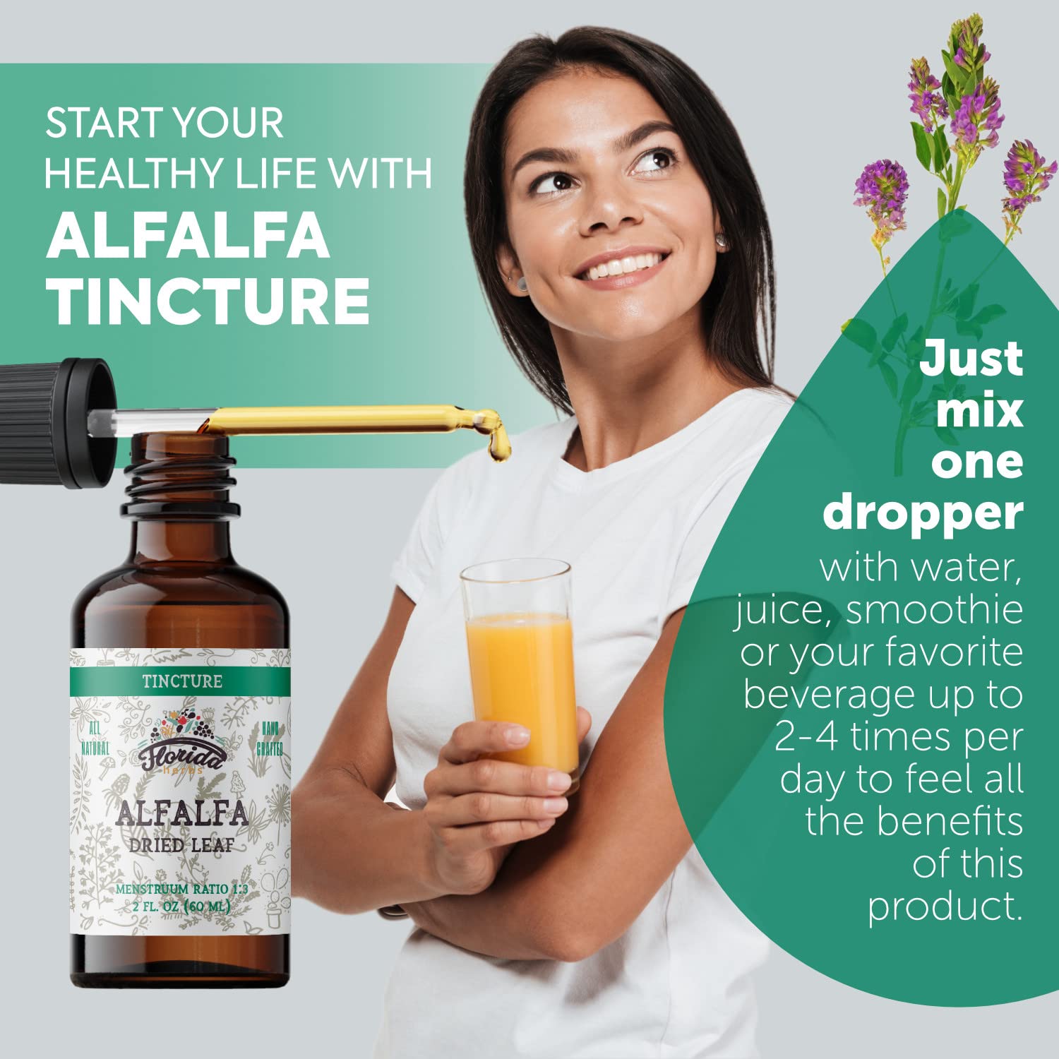 FLORIDA HERBS Organic Alfalfa Tincture 159g back view with ingredient details
