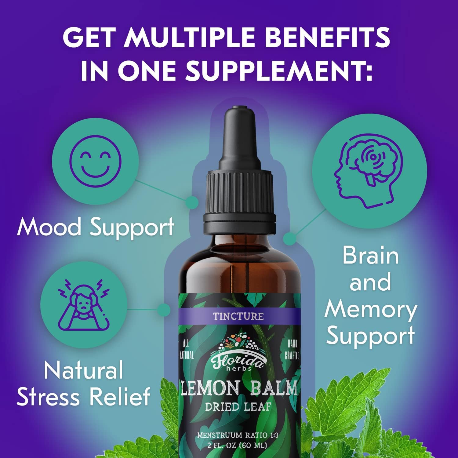 FLORIDA HERBS Organic Lemon Balm Leaf Tincture in lifestyle setting