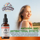 FLORIDA HERBS Organic Licorice Root Extract 159g back view