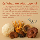 Flow Drops adaptogenic mushroom blend liquid supplement packaging