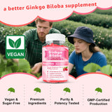 Flyrocer Ginkgo Biloba Gummies on a wooden table