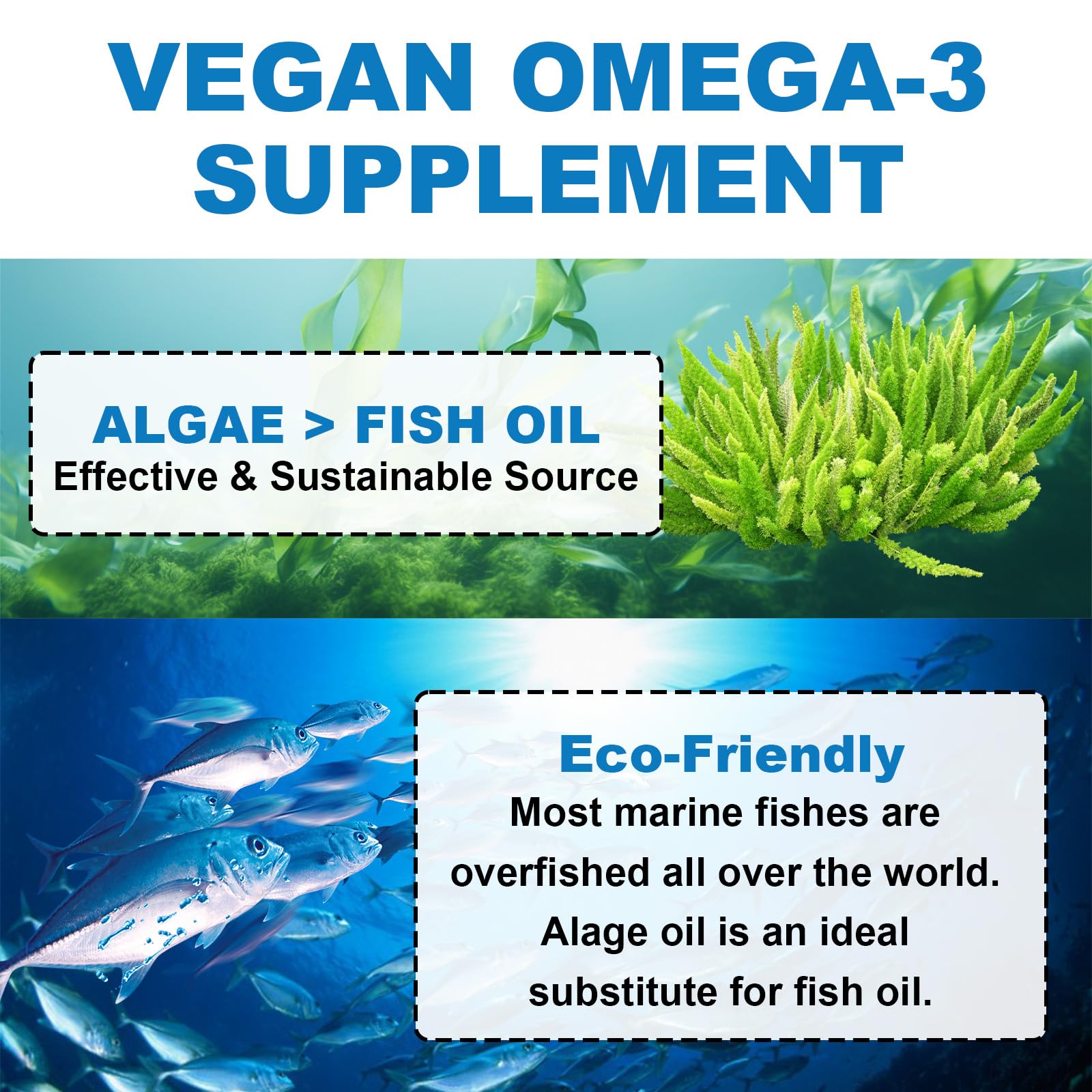 Flyrocer Vegan Omega 3 Gummies displayed on a kitchen counter