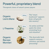 FOCL Day Lions Mane Mushroom Supplement back view with ingredient list