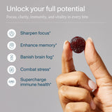 FOCL Mushroom Gummies mixed berry flavour