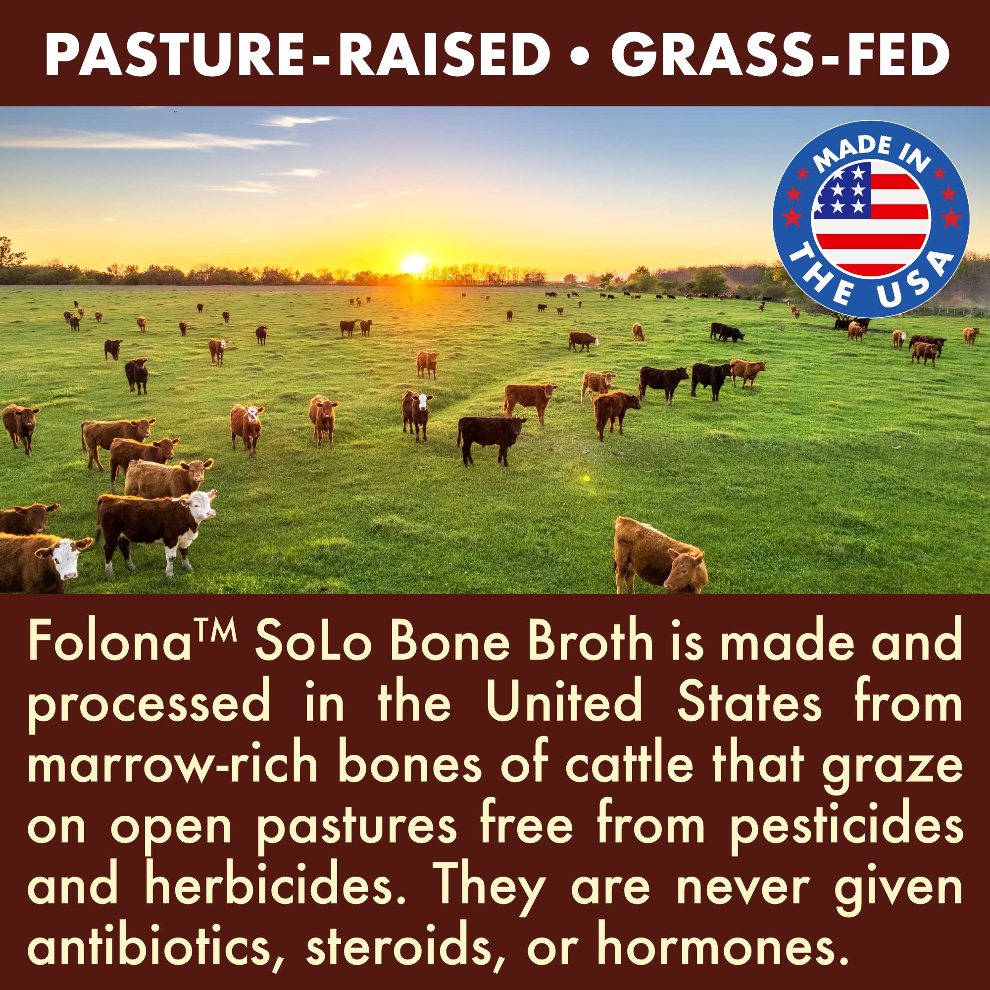 FOLONA Bone Broth Protein Powder 454g scoop