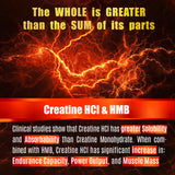 FOLONA Creatine HMB Supplement 90 Capsules close-up of capsules