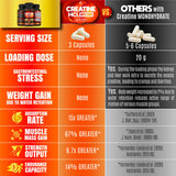 FOLONA Creatine HMB Supplement 90 Capsules side view