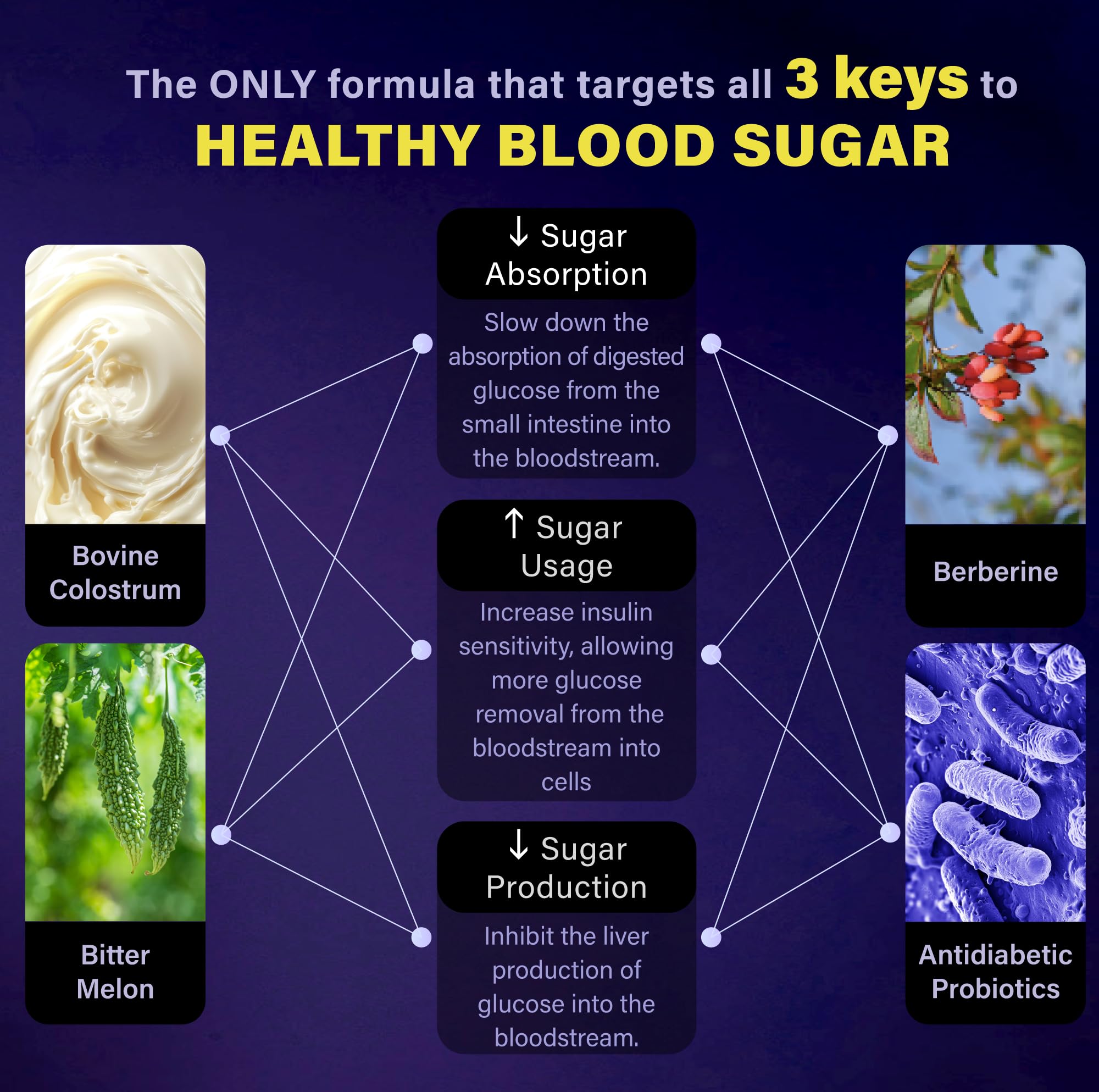 FOLONA Holistic Diabetic Support Supplement capsules close-up