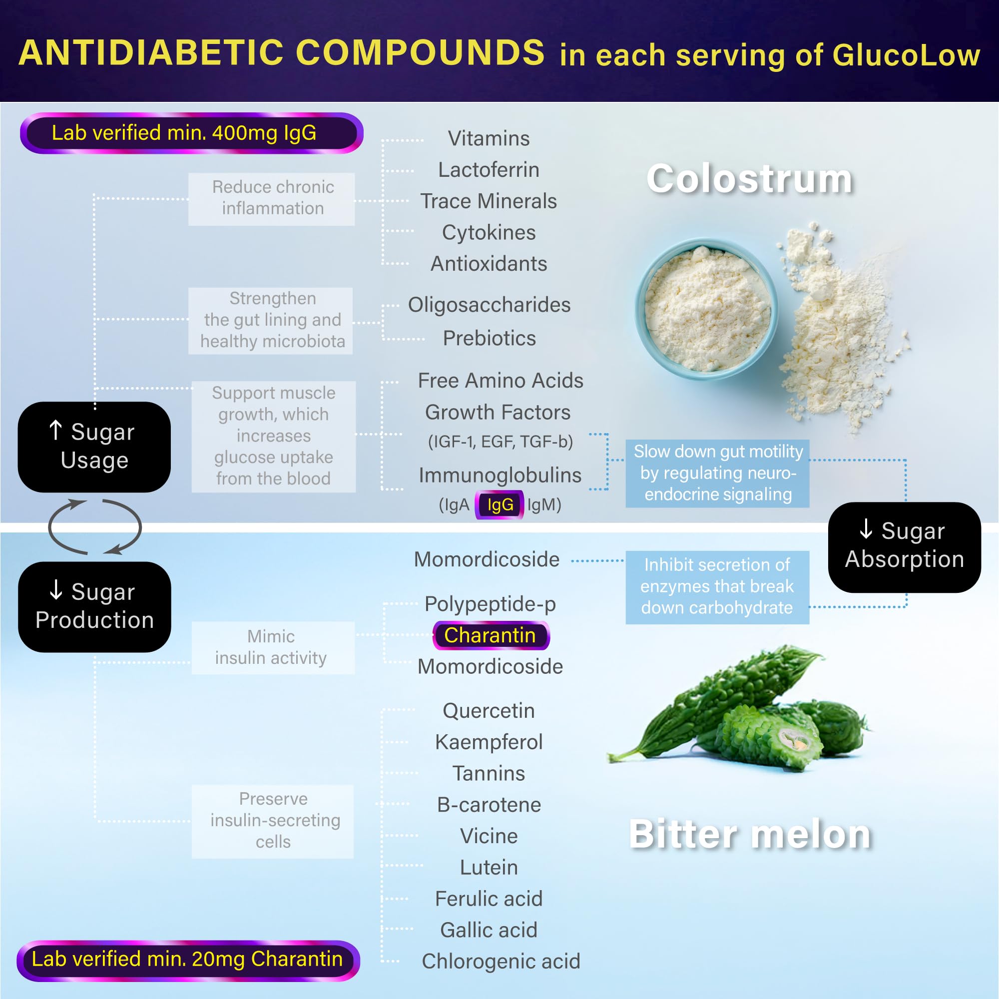 FOLONA Holistic Diabetic Support Supplement ingredients list