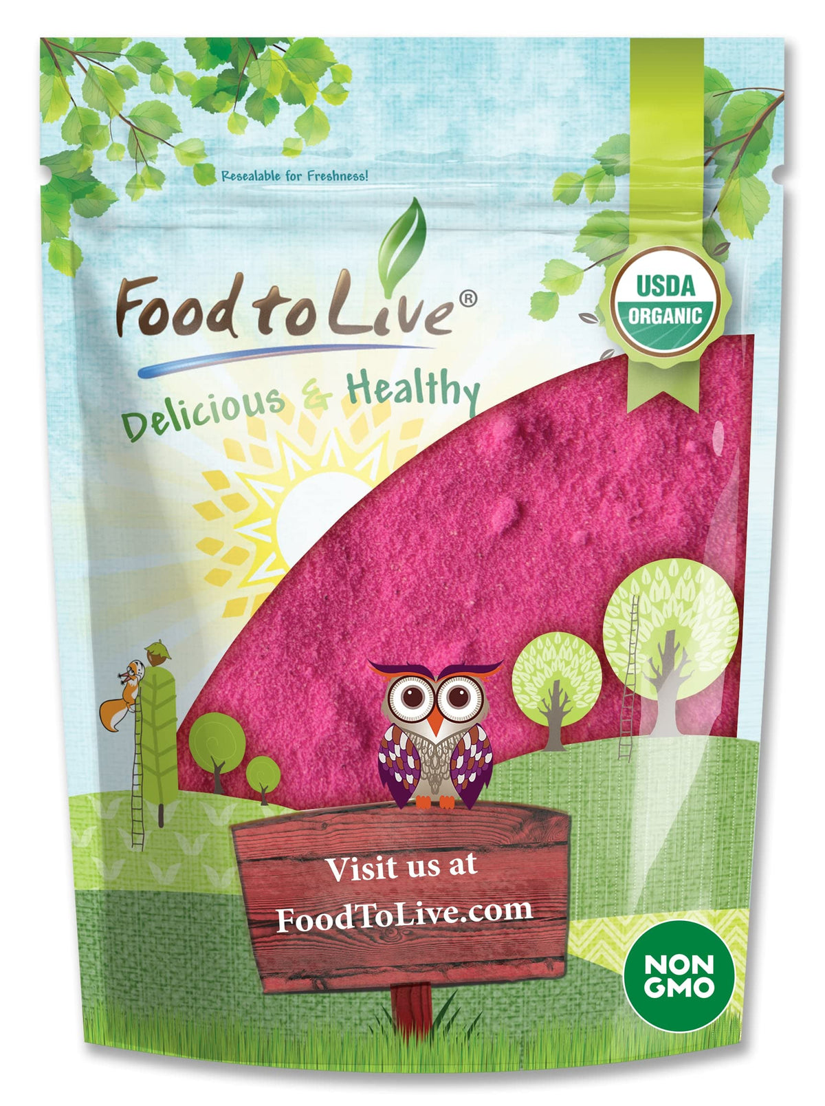 Food to Live Organic Dragon Fruit Powder 340g front view