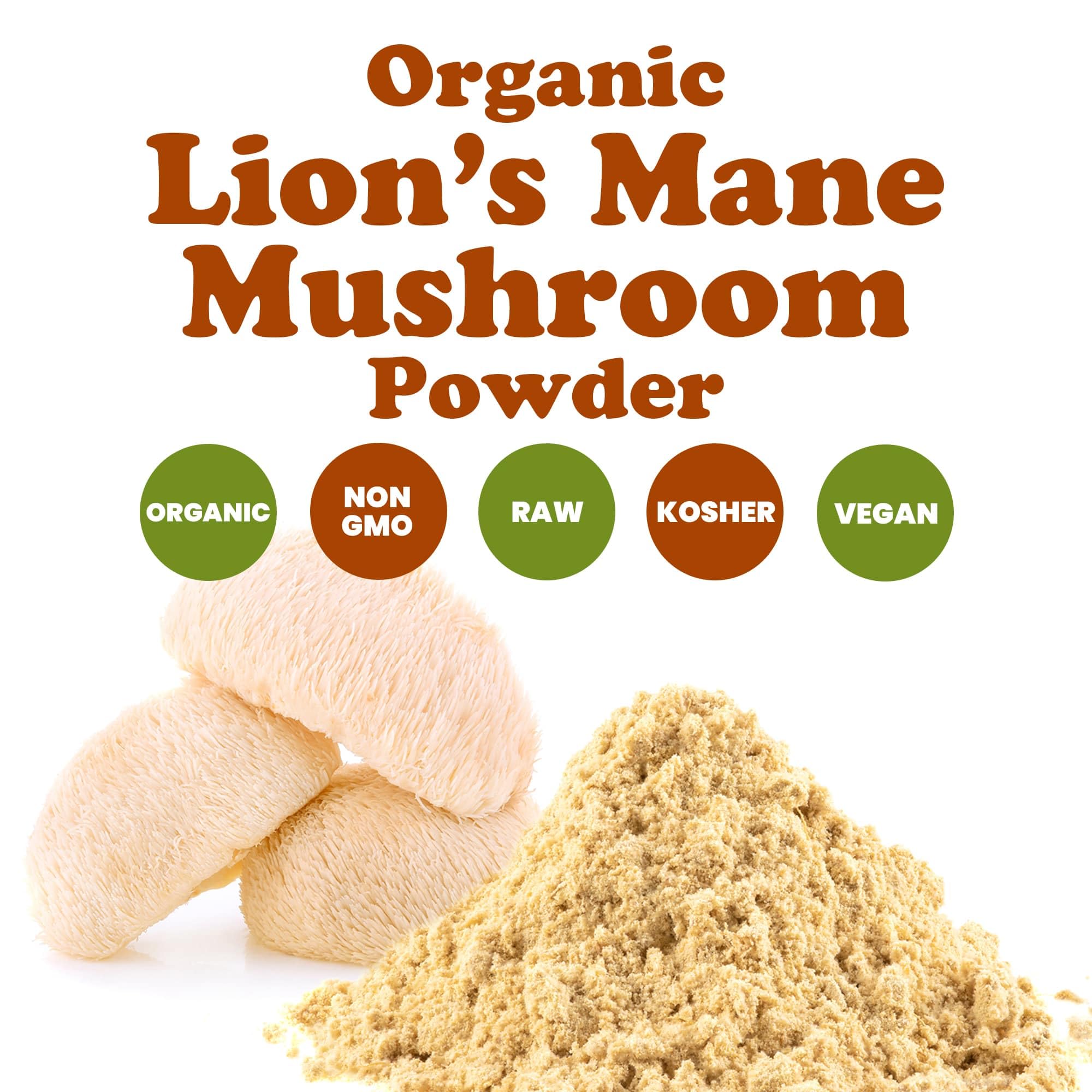 Food to Live Organic Lion’s Mane Mushroom Powder scoop with powder