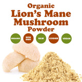 Food to Live Organic Lion’s Mane Mushroom Powder scoop with powder