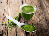 Food to Live Organic Spirulina Powder on a kitchen counter