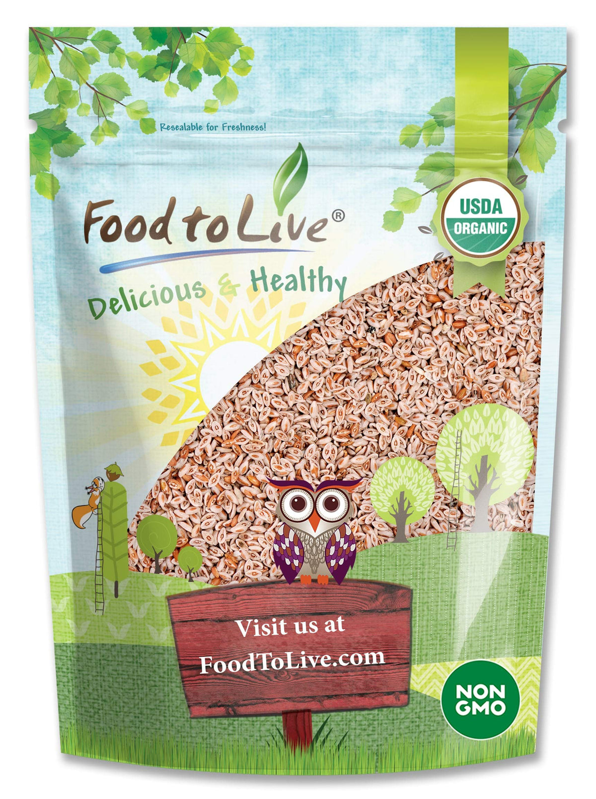 Food to Live Whole Psyllium Seeds 227g front view