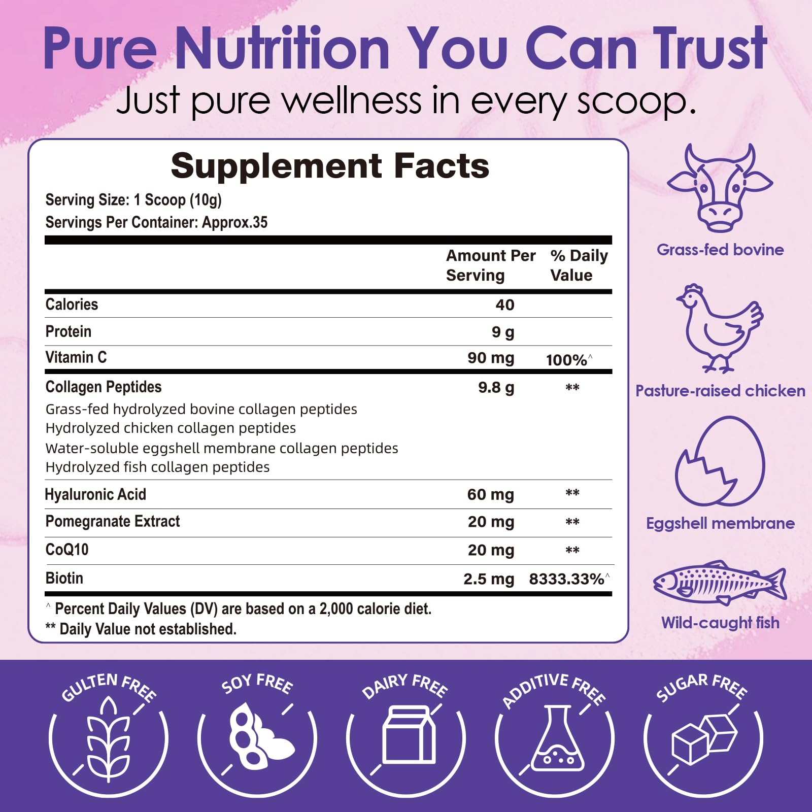 FoodiMed Multi-Collagen Complex 390g packaging