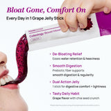 FOODOLOGY Jelly Stick Dietary Fibre 200g grape and berry flavour