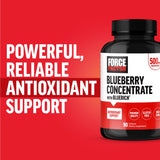 Force Factor Blueberry Concentrate Softgels displayed with blueberries