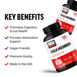Force Factor Chaga Mushroom Capsules 125g back view
