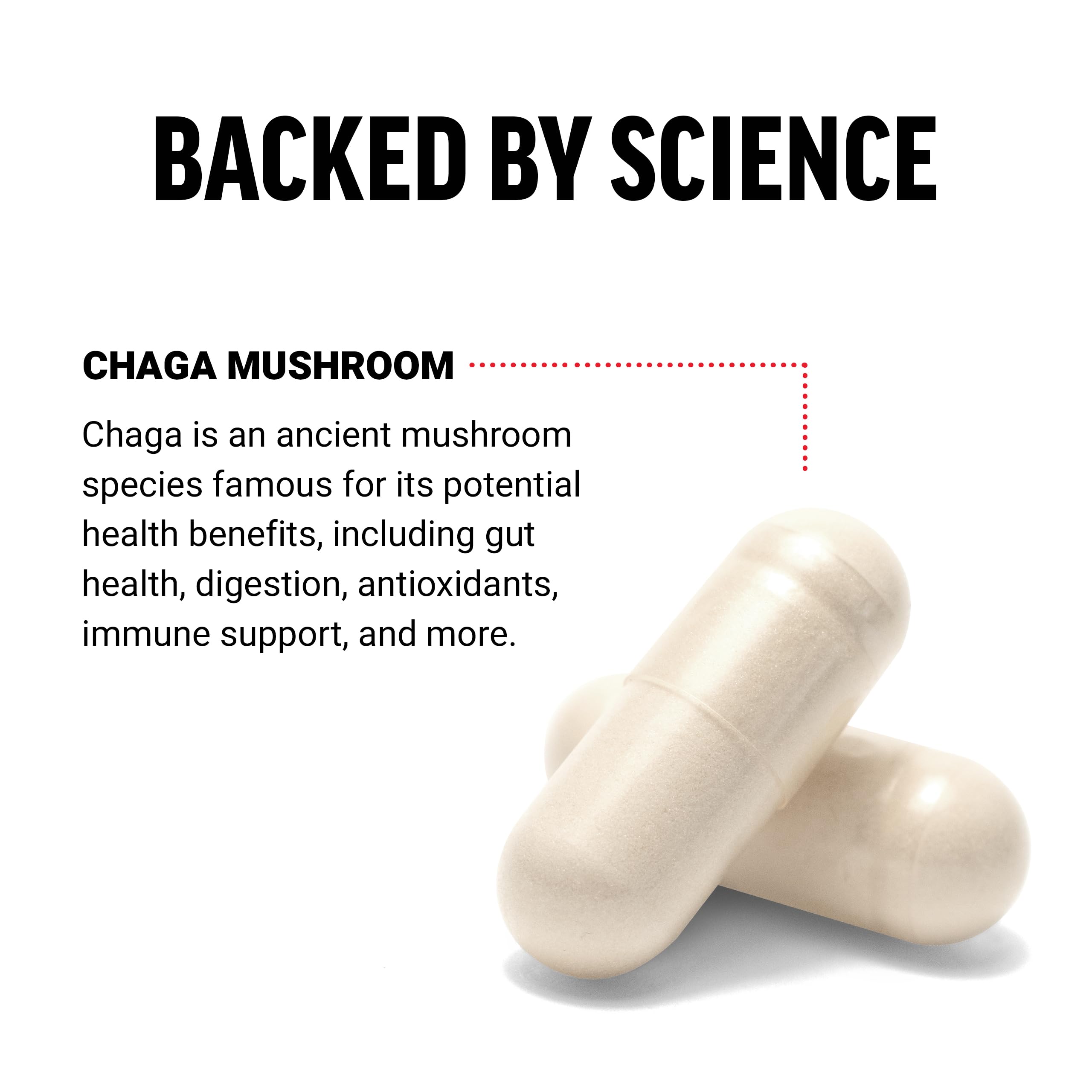 Force Factor Chaga Mushroom Capsules 125g side view
