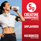Force Factor Creatine Monohydrate Powder 1000g with gym equipment