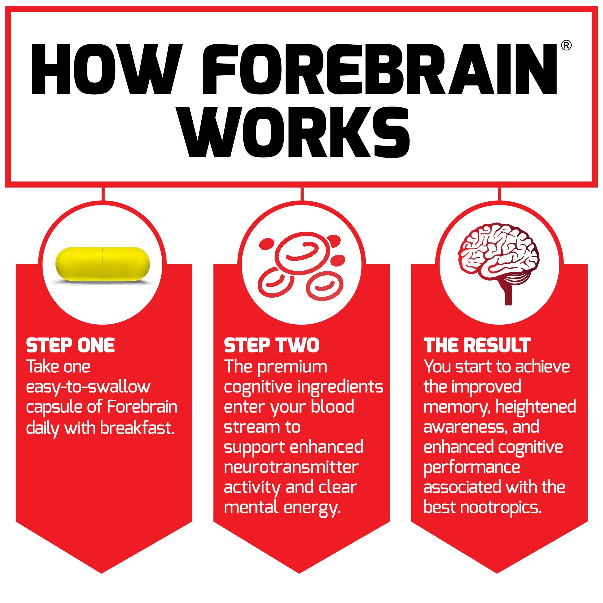 Force Factor Forebrain capsules in hand