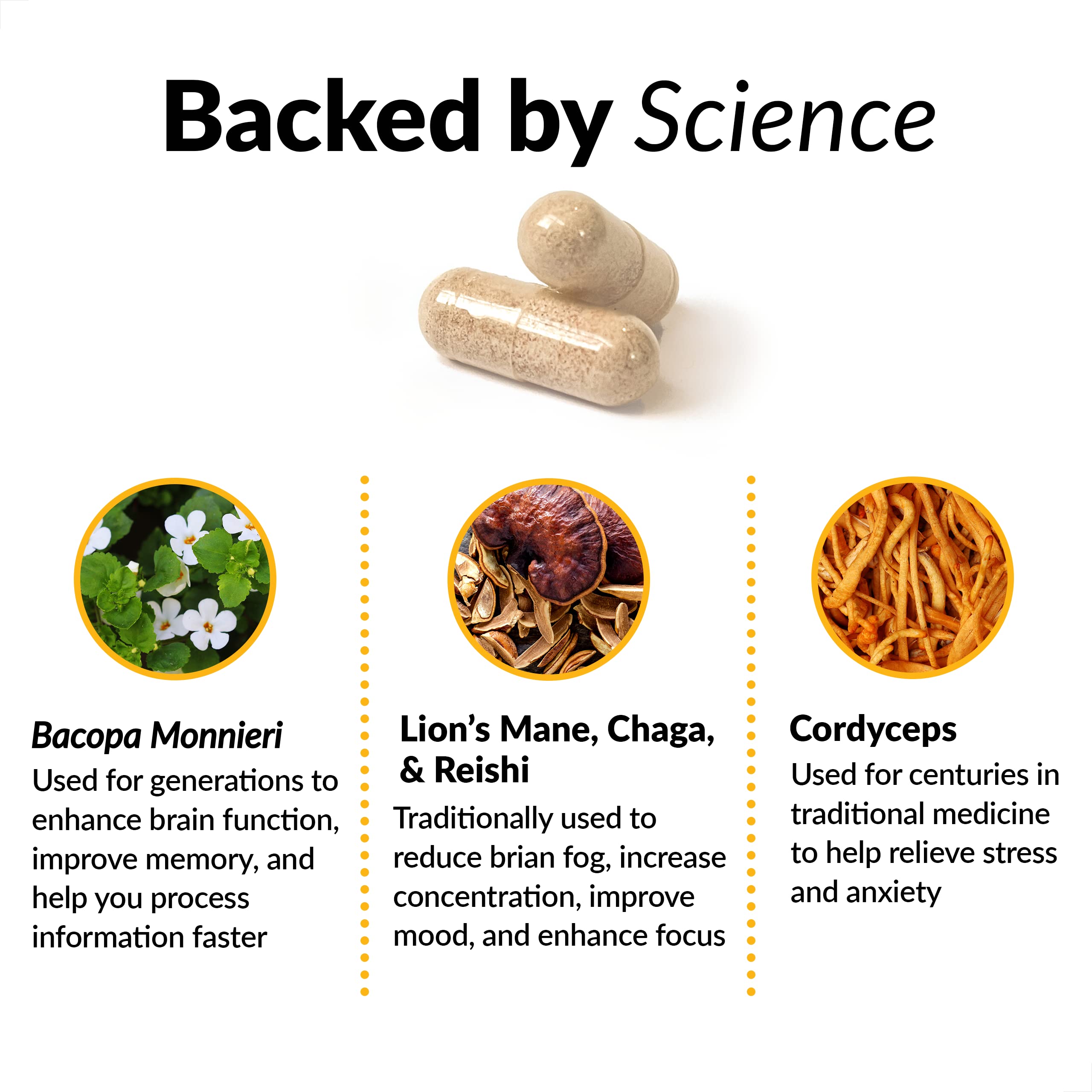 Force Factor Forebrain Focus Brain Supplement capsules