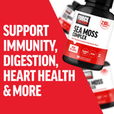 Force Factor Irish Sea Moss Complex 63g ingredients list