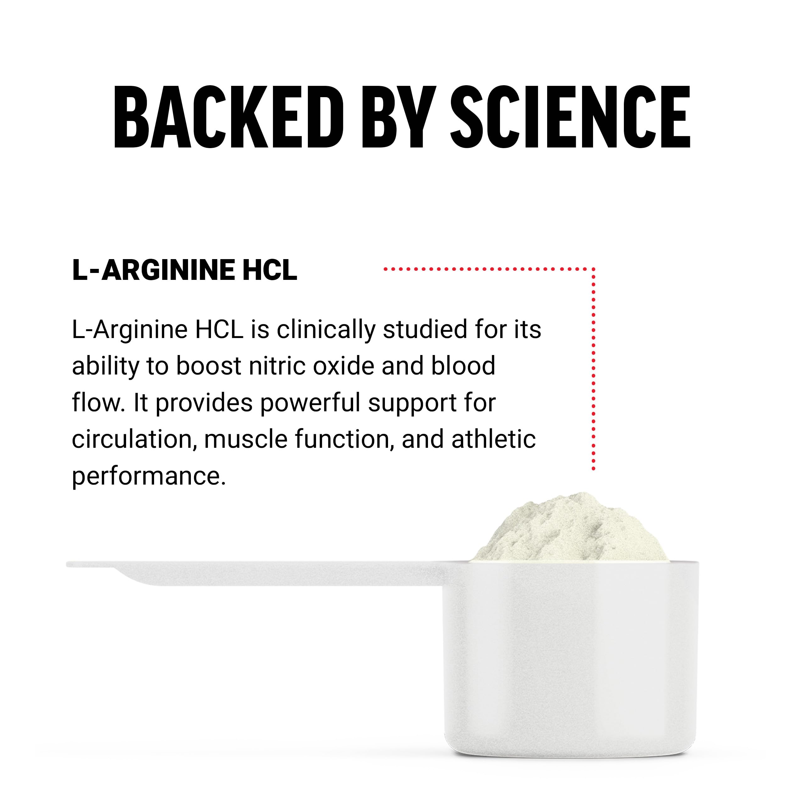 Force Factor L-Arginine Powder unflavoured powder close-up