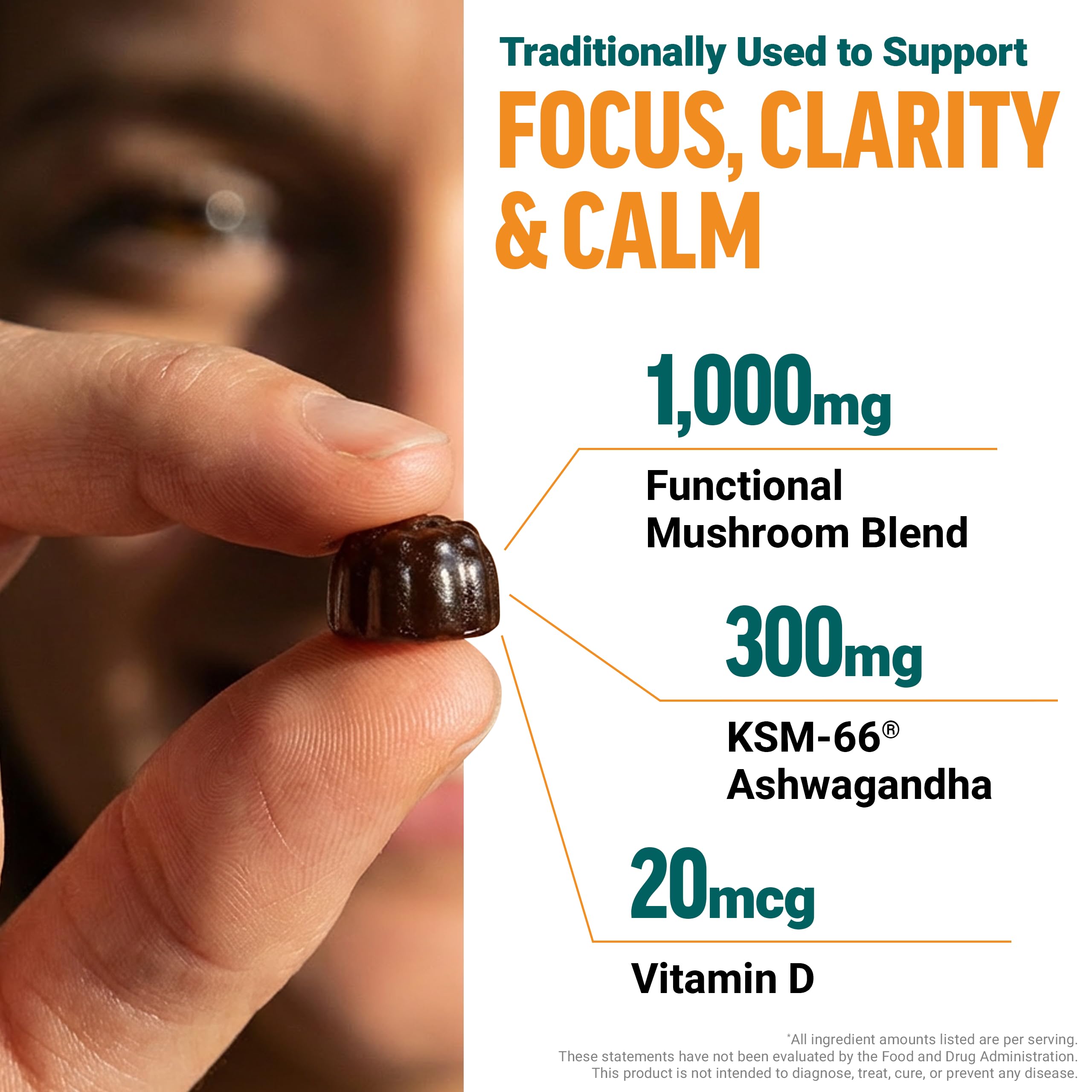 Force Factor Modern Mushrooms Gummies displayed with fruiting body extracts