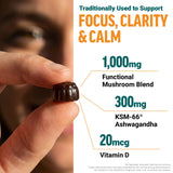 Force Factor Modern Mushrooms Gummies displayed with fruiting body extracts
