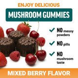 Force Factor Modern Mushrooms Gummies with a measuring spoon