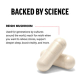 Force Factor Reishi Mushroom Capsules back view with ingredient list