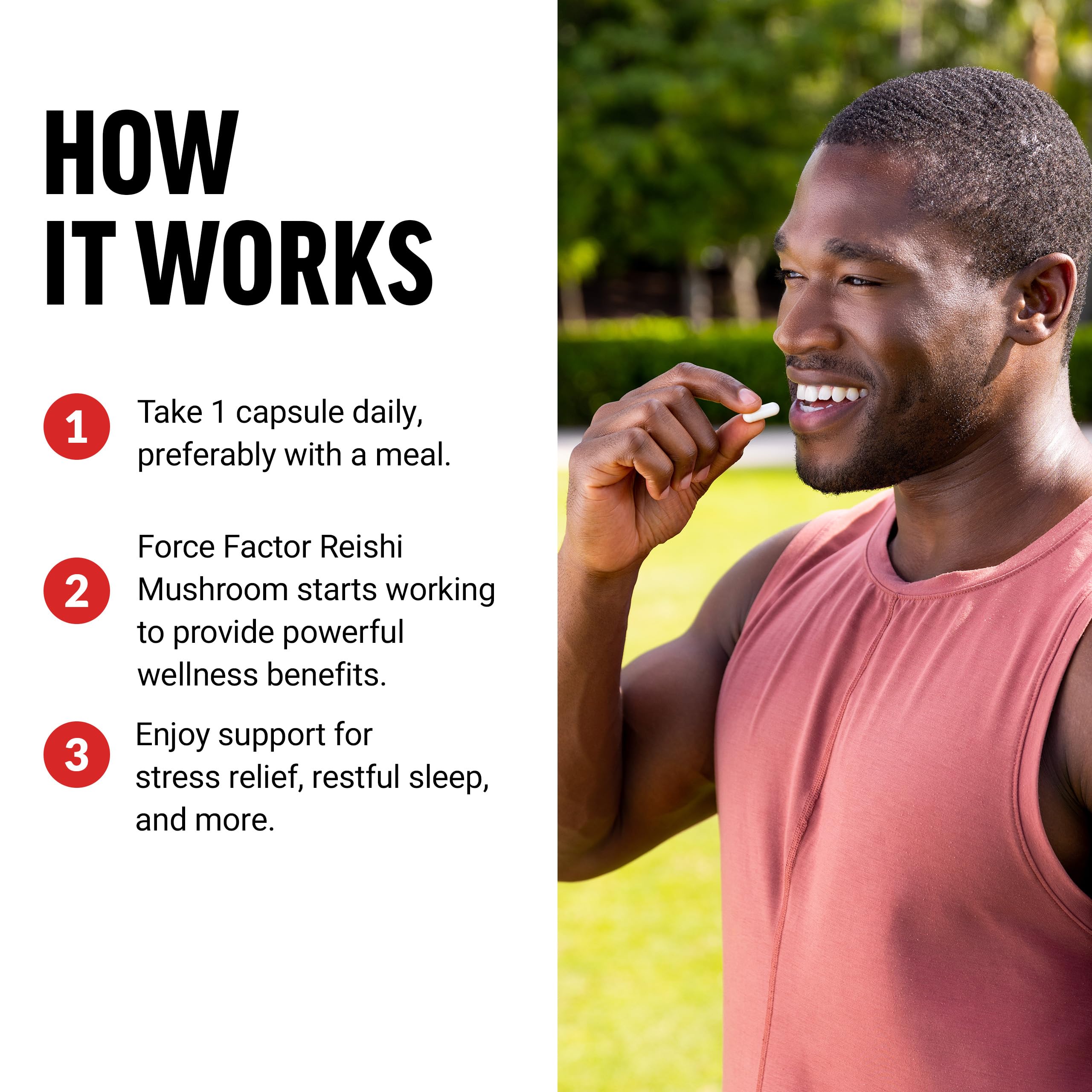 Force Factor Reishi Mushroom Capsules in a lifestyle setting