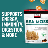 Force Factor Sea Moss Soft Chews on a table