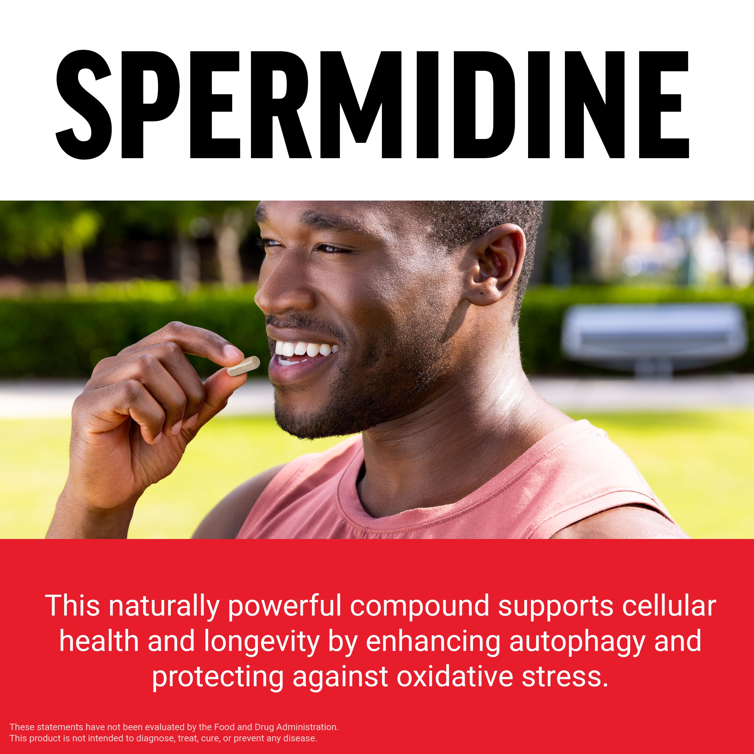 Force Factor Spermidine capsule close-up on a wooden surface