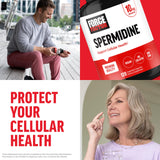 Force Factor Spermidine supplement side view with dosage information