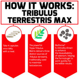 Force Factor Tribulus Terrestris Max 2000mg capsules close-up