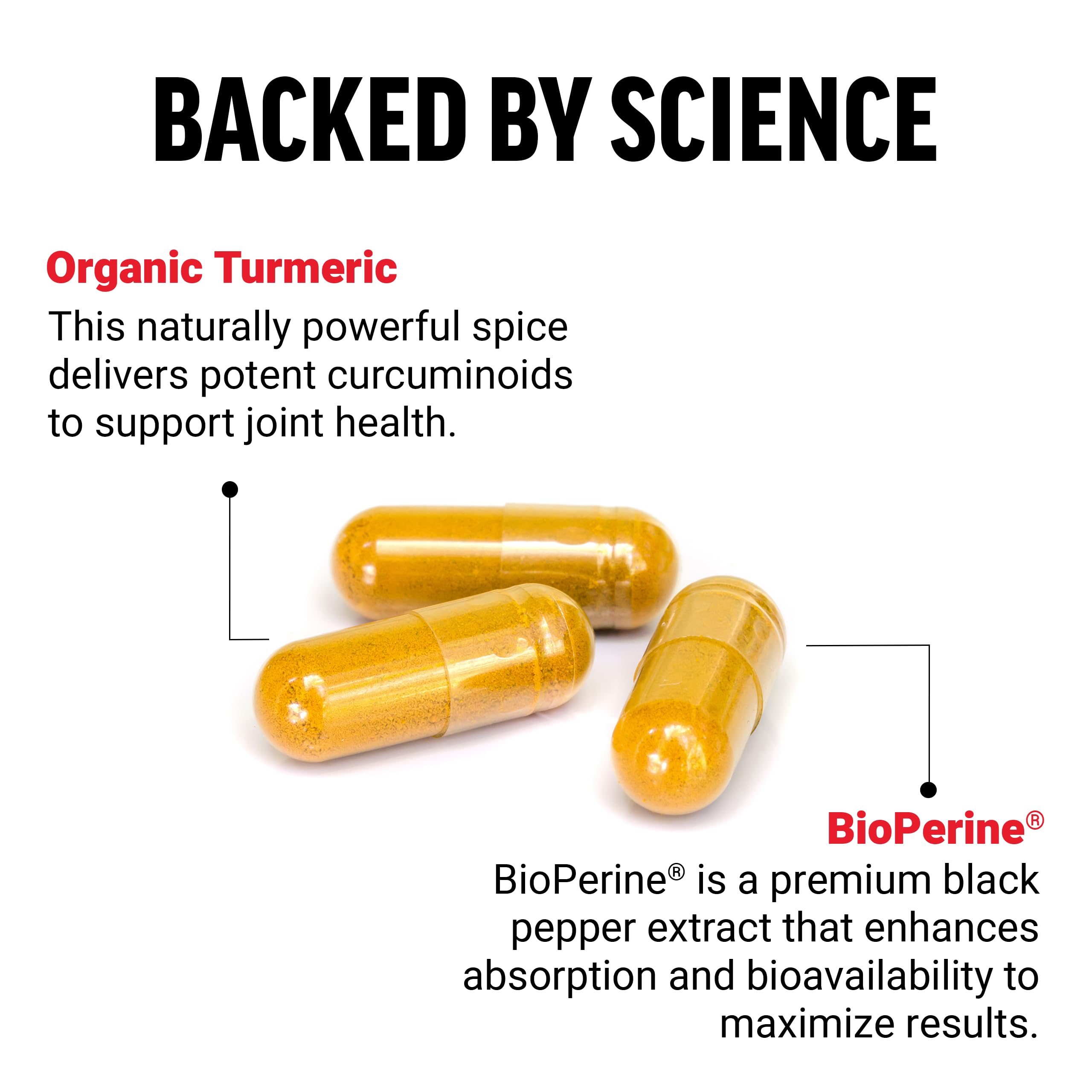 Force Factor Turmeric Curcumin supplement back view with ingredient list