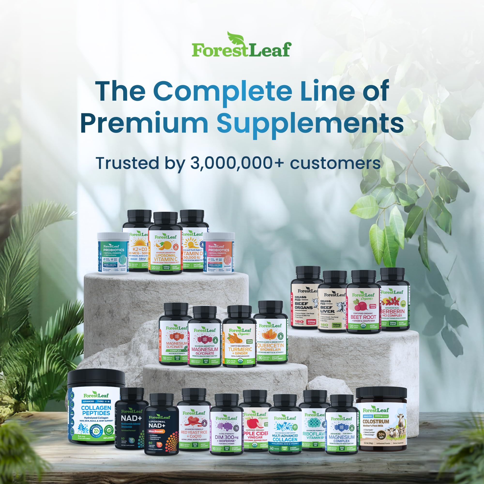 ForestLeaf Collagen Powder 558g alongside fresh fruits