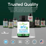 ForestLeaf Collagen Supplement with a glass of water