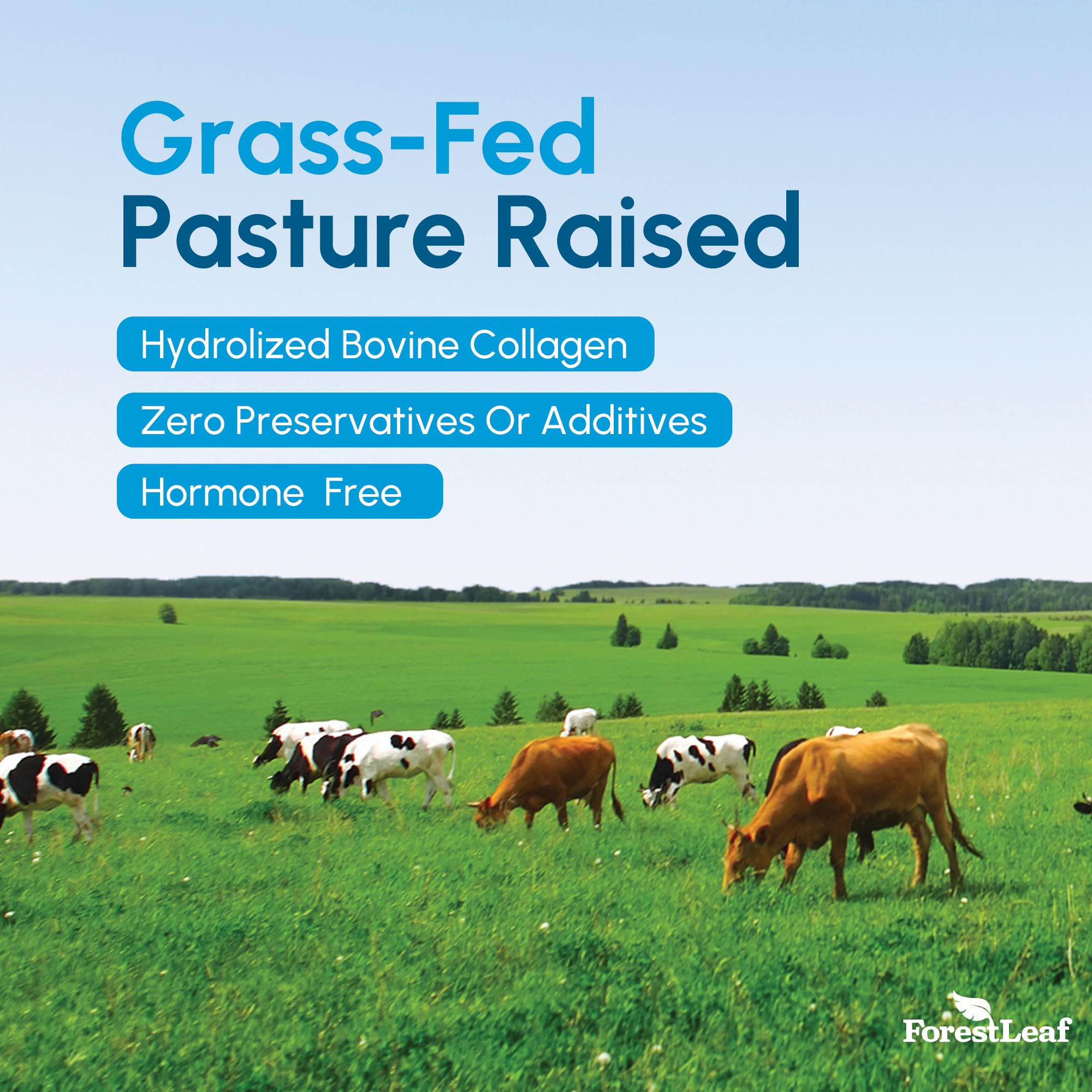 ForestLeaf Multi Collagen Capsules opened bottle showing contents