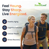 ForestLeaf NAD+ Supplement 500mg bottle with label