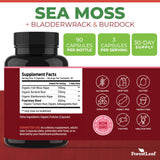 ForestLeaf Organic Sea Moss Capsules 750mg bottle with label