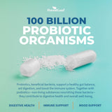 ForestLeaf Probiotics & Prebiotics 100 Billion CFU ingredients list